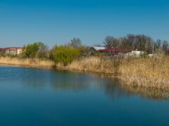 Cumpar teren zona Straulesti, 2 Cocosi