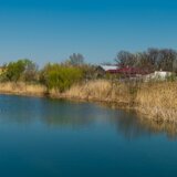 Cumpar teren zona Straulesti, 2 Cocosi